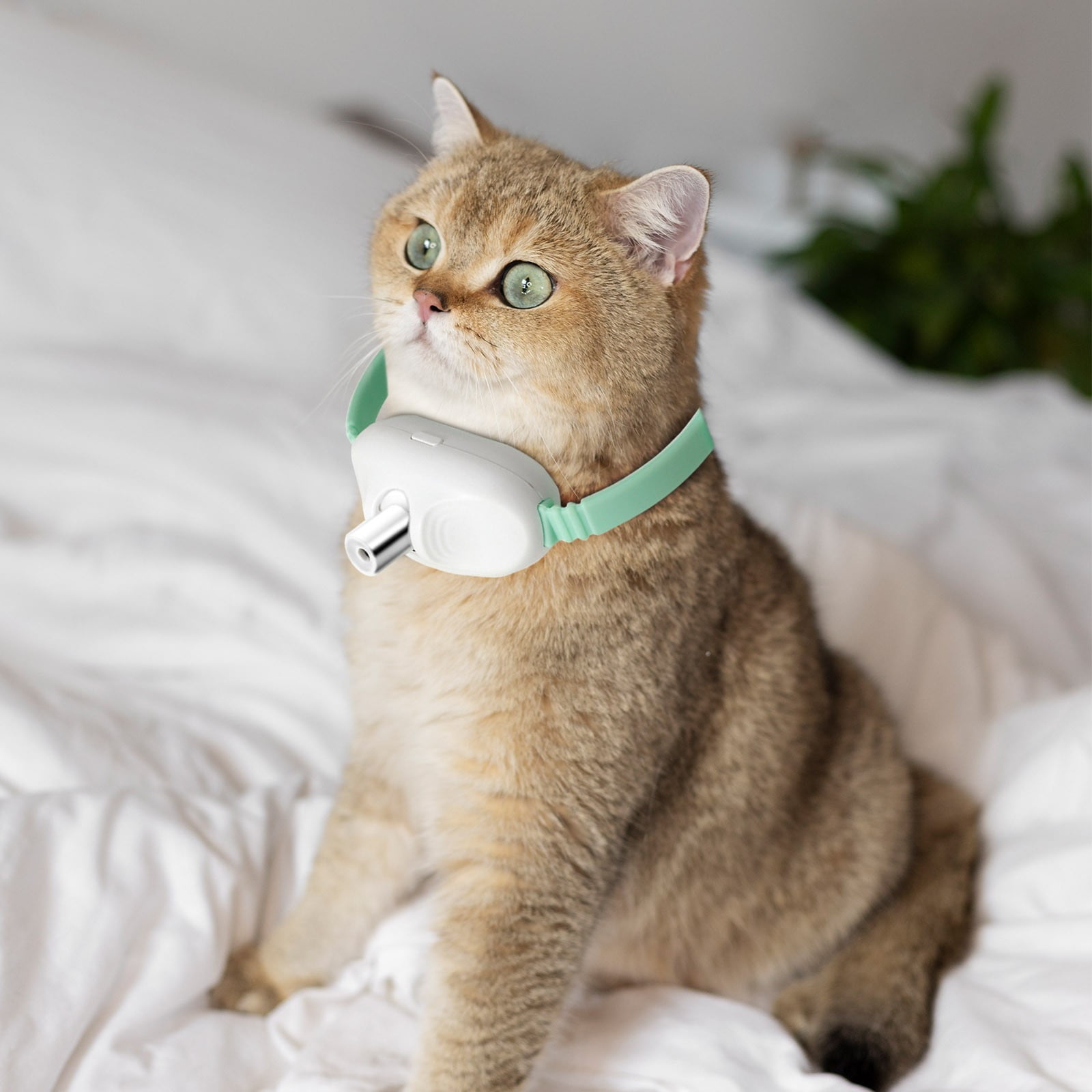 Automatic Laser Pointer Cat Collar Toy - USB Rechargeable Interactive ...