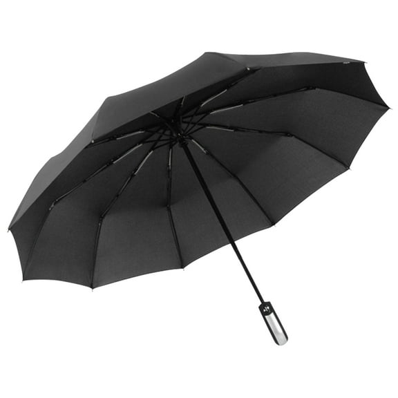 Automatic Open & Close Travel Umbrella Wind Resistant Compact Umbrella 10 Ribs Small Portable Umbrella Stormproof for Rain