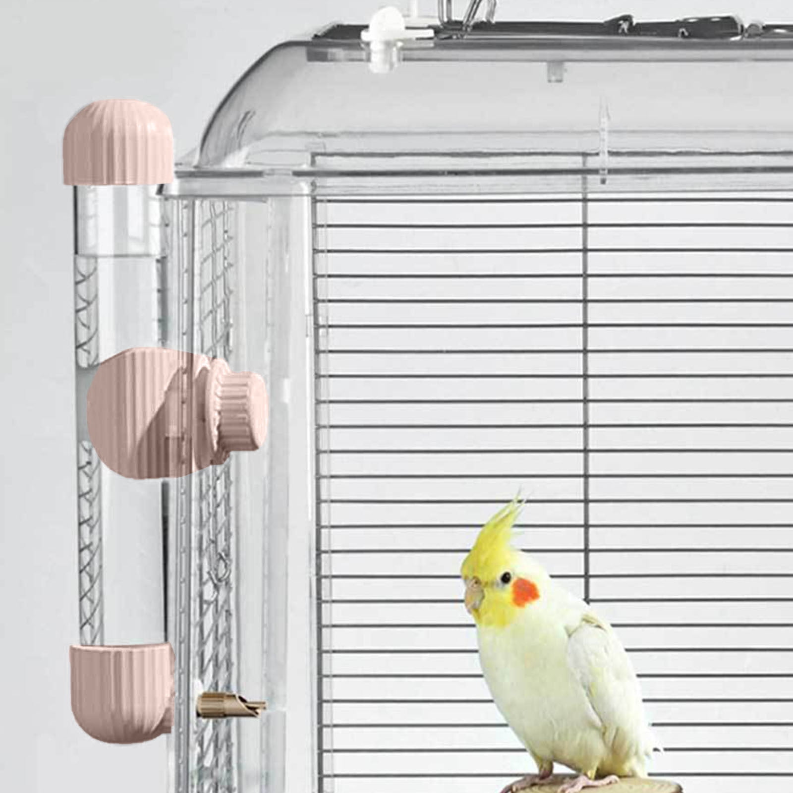 Visual Reference: Automatic Parrot Water Feeder Dispenser With Spring Mechanism For Bird