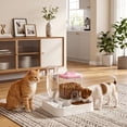 thumbnail image 1 of Automatic Pet Feeder and Water Dispenser Combo for Cats and Small Dogs, Raised Neck Bowl, Large Capacity, Auto Food and Water Refill, Spill Proof, Easy Cleaning, Balanced Feeding Station for Home, 1 of 6