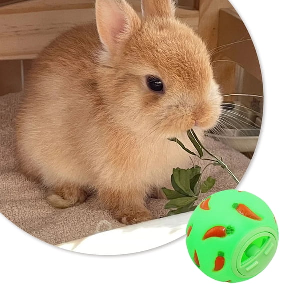 Automatic Pet Automatic Feeder Puzzle Food Dispenser for Small Animals Educational Slow Feeding Interactive Dispenser for Rabbits Cats Dogs Indoor Outdoor Use