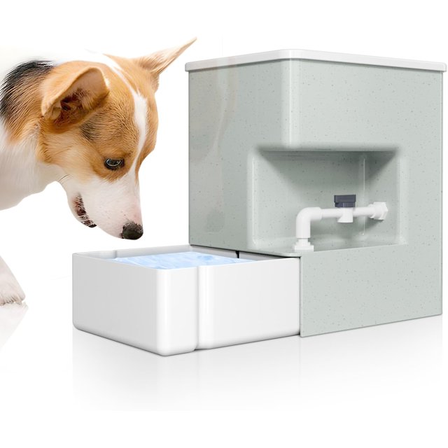 Automatic Pet Water Dispenser 8L Gravity Waterer Ultra Quiet Top Fill