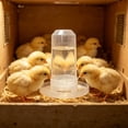 thumbnail image 1 of Automatic Poultry Water Feeder For Quail And Chicks, Anti Drowning Cage Drink Dispenser, Low Spill Small Bird Watering System For Indoor Outdoor Coop Use, 1 of 6