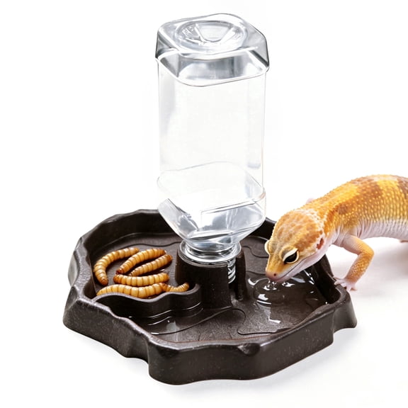 Reptile Water Dispenser, 2-in-1 Food and Water Bowl for Tortoise and Bearded Dragon, Small