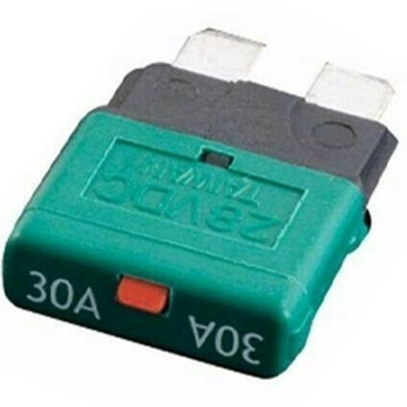 Automatic Reset Circuit Breaker Fuse for 12V 24V Applications, 5-30A Marine and Automotive