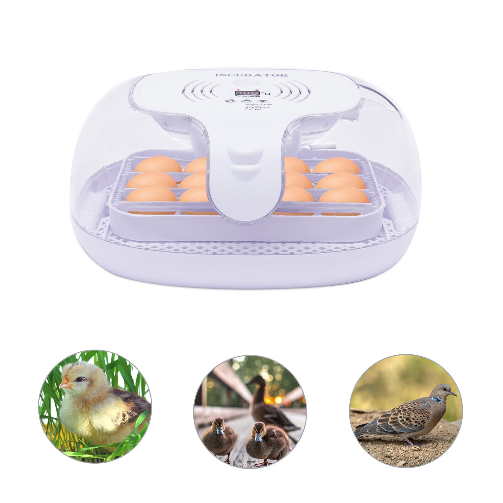 Automatic Turning Humidity Incubators for Hatching Eggs 16 Egg