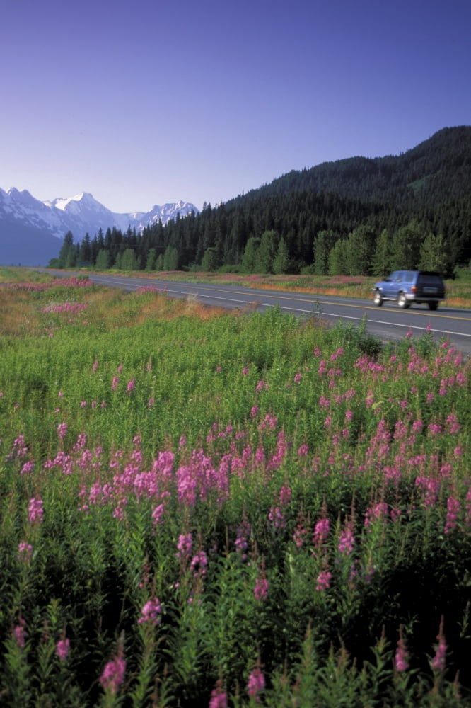 Autombiles On Seward Highway In Kenai Mtns Kp Ak Summer Canvas Art - Jeff Schultz  Design Pics (22 x 34)