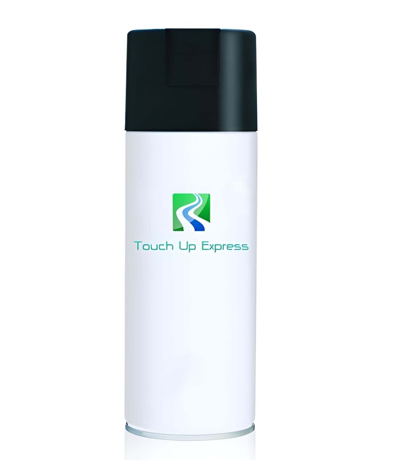 TOUCH UP EXPRESS Automotive Clear Coat 12oz Aerosol Spray Touch Up Spray Can