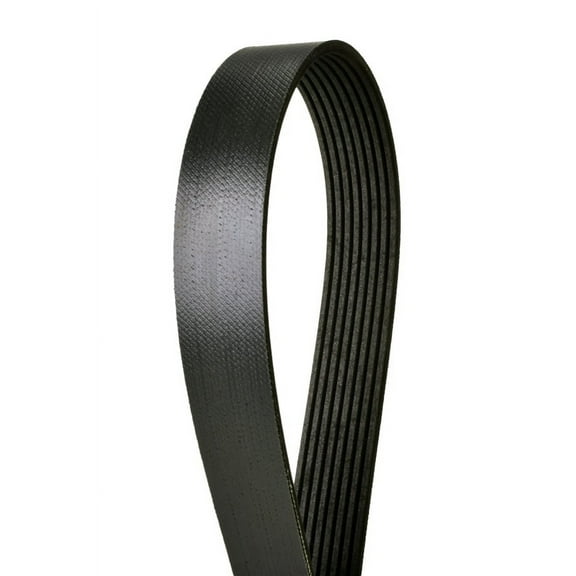 Automotive Extreme Duty Multi-V Belt