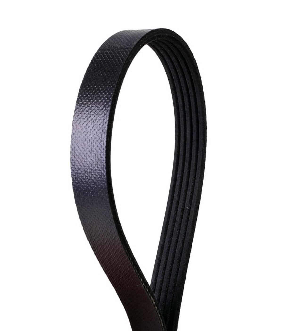 Automotive Metric Multi-V Belt