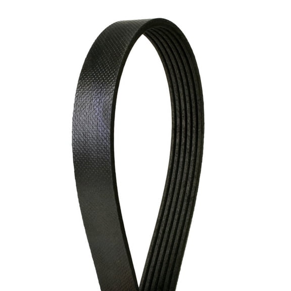 Automotive Metric Multi-V Belt