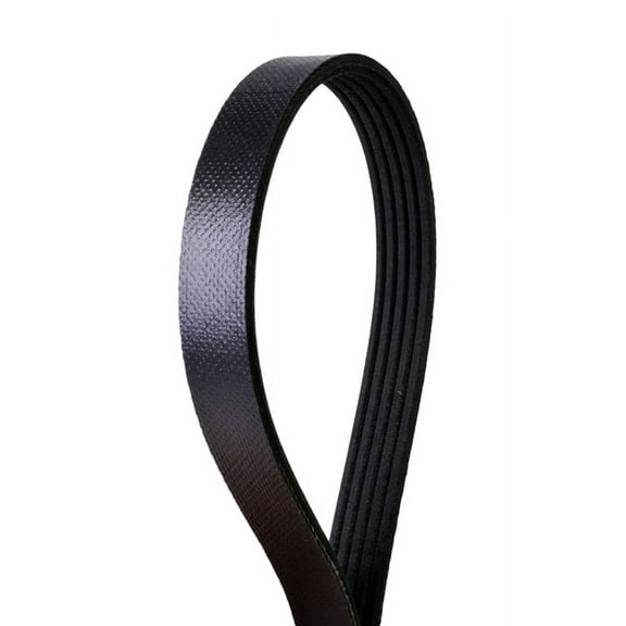 Automotive Multi-V Belt