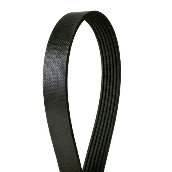 Automotive Multi-V Belt