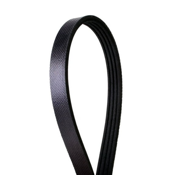Automotive Multi-V Belt