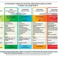 thumbnail image 1 of Autonomic Nervous System Table: Laminated Card (Other), 1 of 1