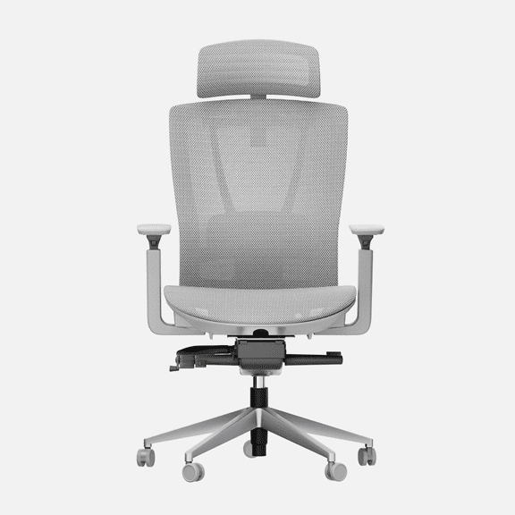 Autonomous ErgoChair Pro Office Chair Lumbar Support Cool Gray - Mesh