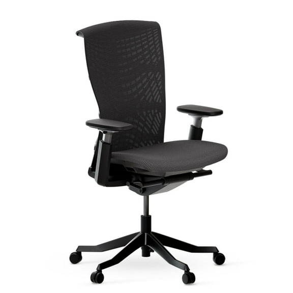 Autonomous ErgoChair Ultra 2 Ergonomic Office Chair Onyx Black - Without Headrest