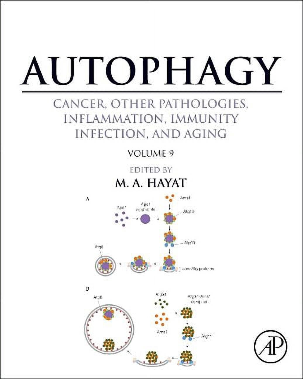 Autophagy: Cancer, Other Pathologies, Inflammation, Immunity, Infection ...