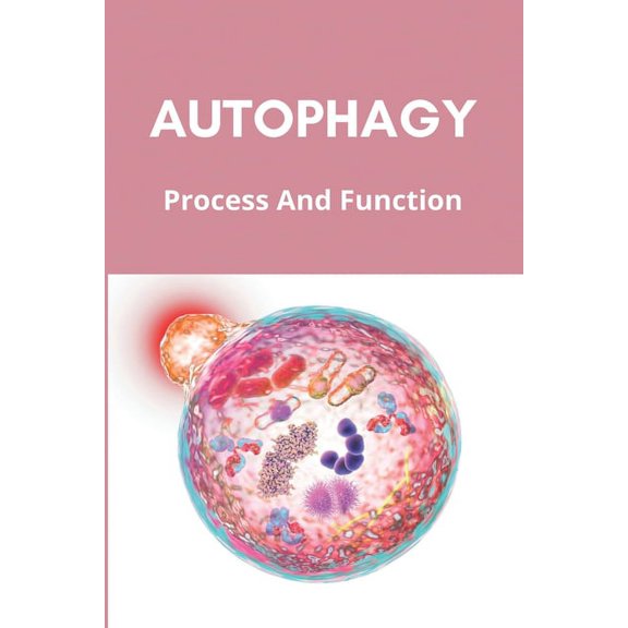 Autophagy : Process And Function: How To Start Autophagy Diet (Paperback)