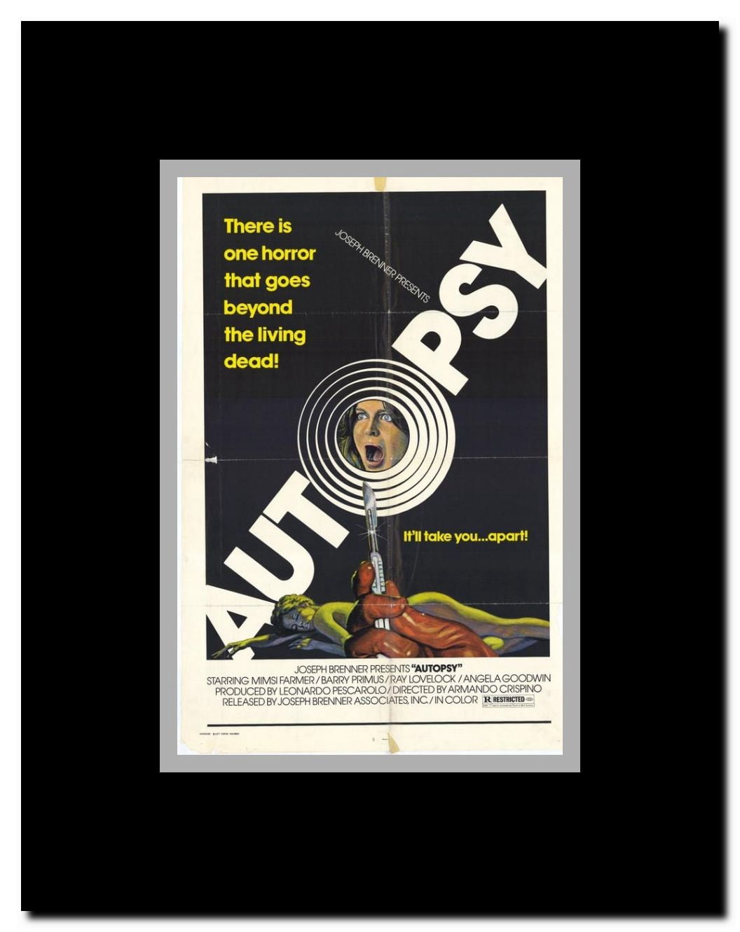 Autopsy Framed Movie Poster