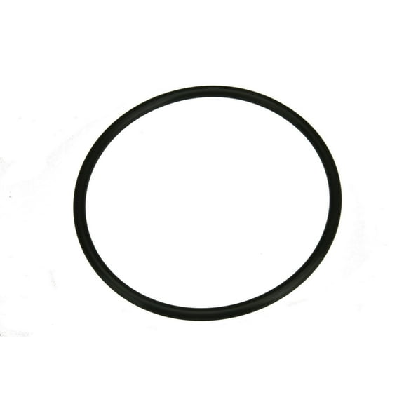 Autotecnica 17342-1HJ0A Fuel Pump Seal