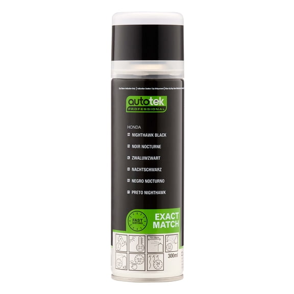 Autotek Professional Exact Match Car Spray Paint, Honda Nighthawk Black Aerosol Spray, 300 ml