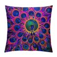 Autua Colorful Feathers Graphic Decorative Throw Pillow Cover for Home