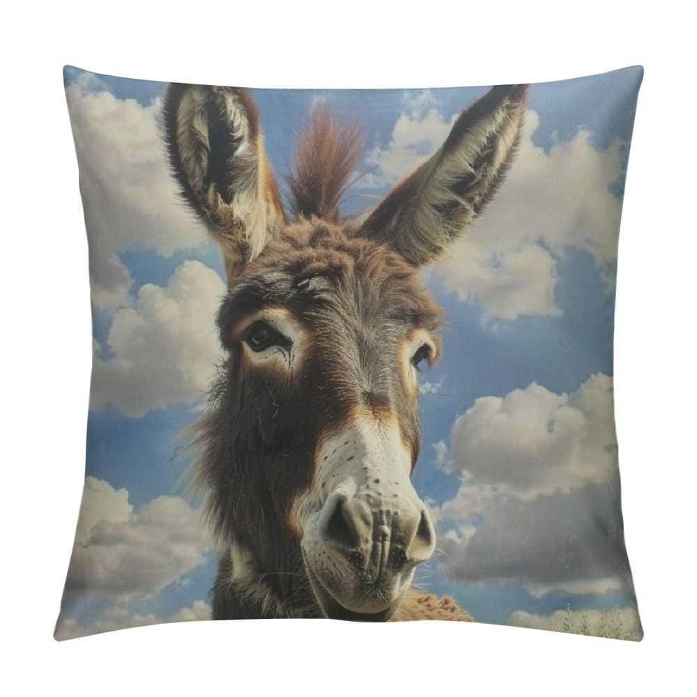 Autua Donkey Sky Clouds Graphic Decorative Throw Pillow Cover for Home