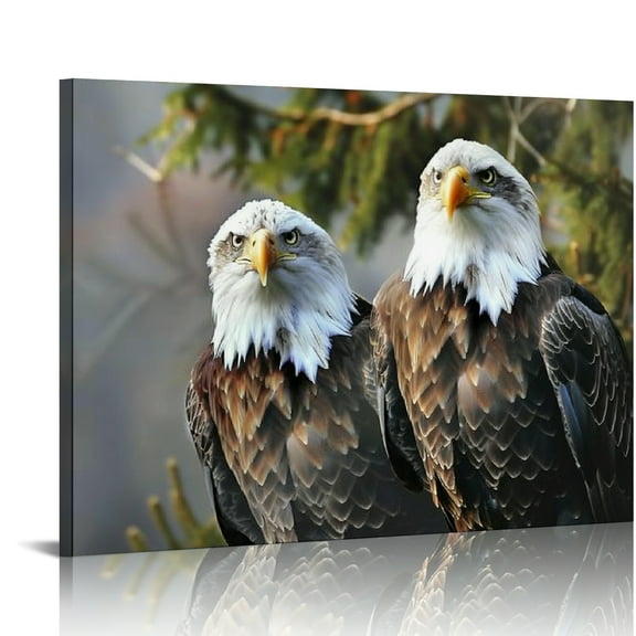 Autua Eagles Tree Branch Wildlife Canvas Print Wall Decor 24x36 Inches 20x16in