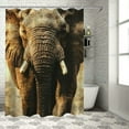 thumbnail image 1 of Autua Elephant Grass Trees Shower Curtain Set with Hooks Washable Bathroom Curtain 36"x72, 1 of 7
