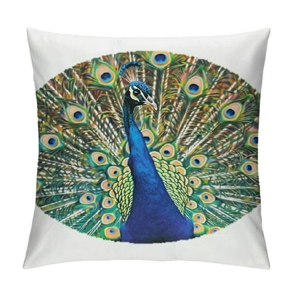 Autua Peacock Feathers Graphic Decorative Cushion Throw Pillow Cover for Home Sofa, Soft and Durable, Aesthetic Decor, 1PC 12x12in
