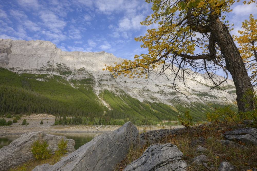 An Autumn Afternoon Above Medicine Lake In Jasper National Park With The Queen Elizabeth Range In The Background Alberta Canada Canvas Art - Dan Jurak Design Pics (34 x 22)