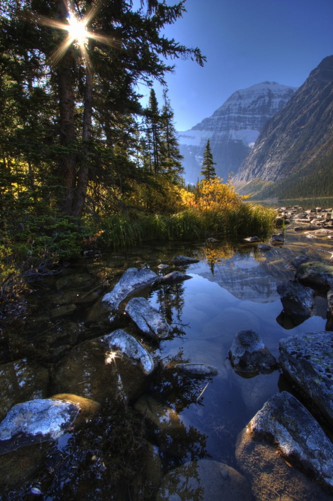 Autumn Afternoon On Cavell Lake Below Mount Edith Cavell Jasper National Park Alberta Canvas Art - Dan Jurak Design Pics (22 x 34)
