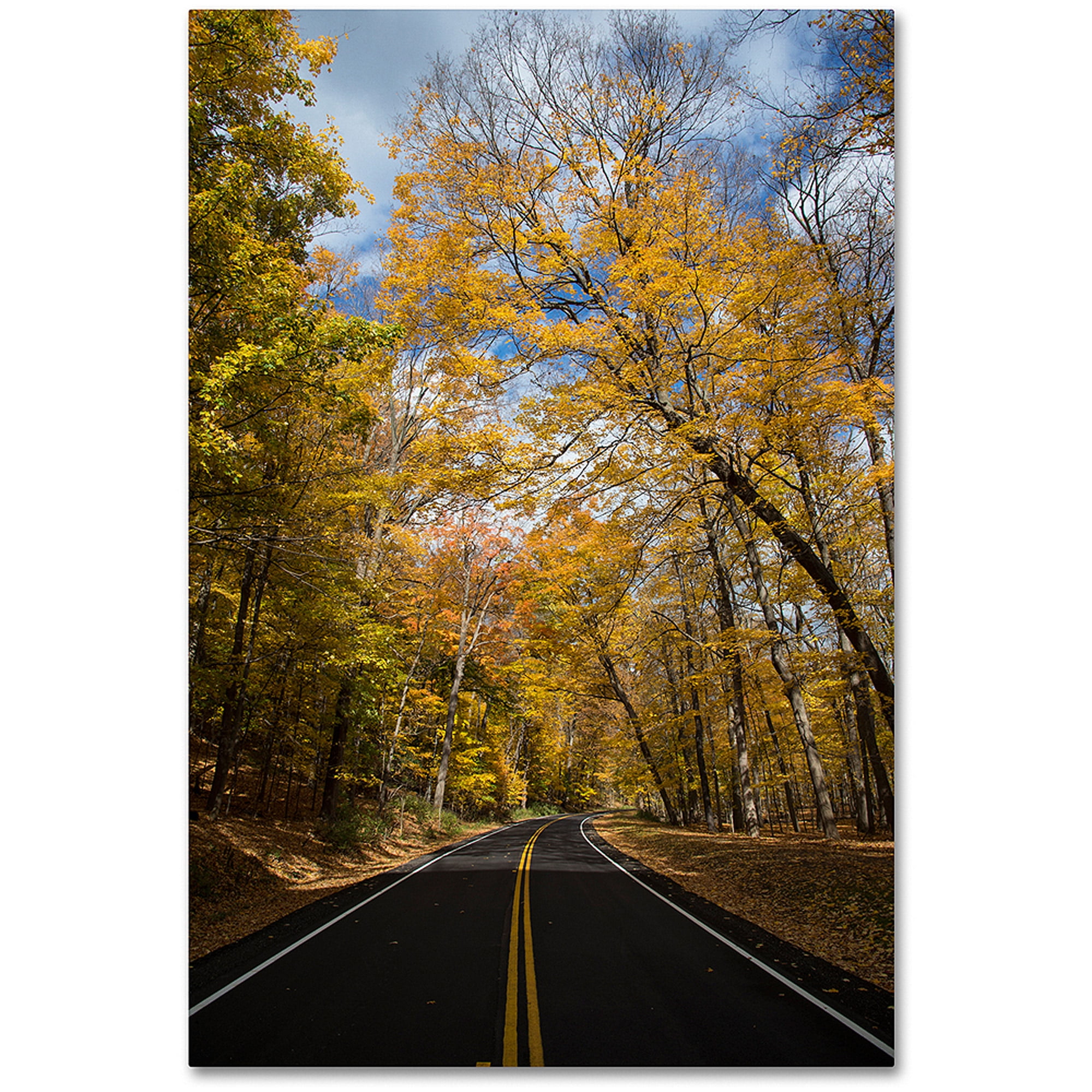 "Autumn Along the Valley Parkway 2" Canvas Art by Kurt Shaffer