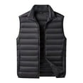 thumbnail image 1 of Autumn And Winter Men's Light Down Vest Slim Solid Color Collar Sleeveless Jacket Horse Jacket, 1 of 6