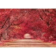 thumbnail image 1 of Autumn Backdrop 20 x 10 ft Fall Maple Leaf Photo Thanksgiving Background ,Fall Forest Road Sceney Banner Backdrop for Baby Shower Birthday Wedding Party Photo Props Supplies Decor, 1 of 4