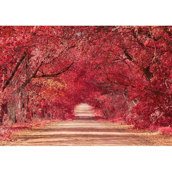 Autumn Backdrop 8 x 6 ft Fall Maple Leaf Photo Thanksgiving Background ,Fall Forest Road Sceney Banner Backdrop for Baby Shower Birthday Wedding Party Photo Props Supplies Decor