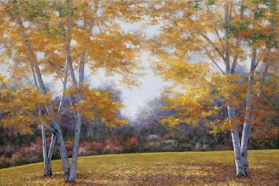 Autumn Birch Canvas Art - Diane Romanello (24 x 36)
