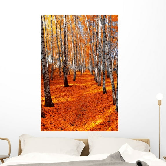 Autumn Birch Wall Mural by Wallmonkeys Peel and Stick Graphic (48 in H x 32 in W) WM150968