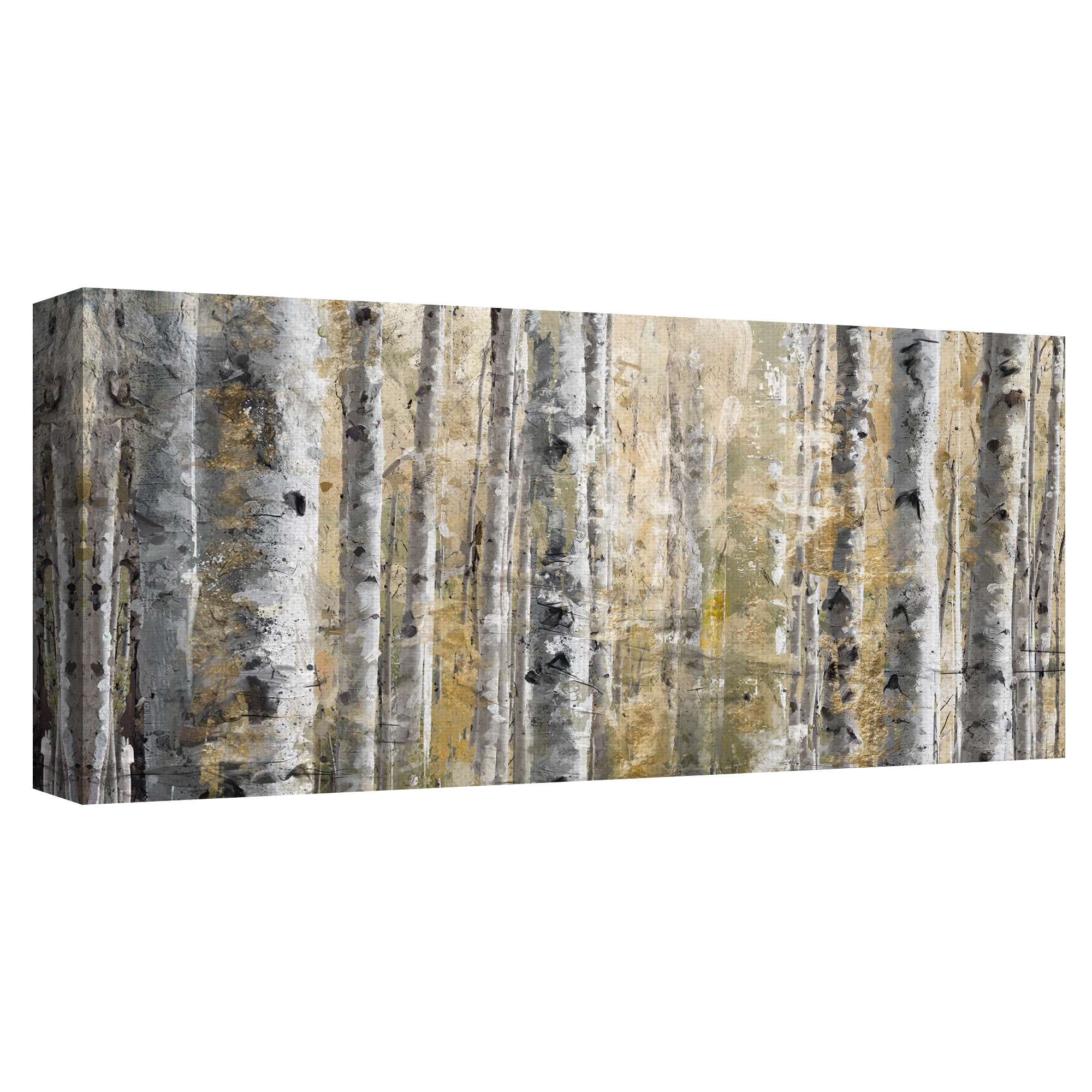 Autumn Birches Panel by Studio Arts Canvas Art Print