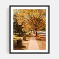 thumbnail image 1 of Autumn in Bloomfield 02 - Bloomfield New York Photography Autumn Scenic Landscape Nature Rural Countryside Woodland Black Framed Wall Art Print 9 x 12 inches, 1 of 4