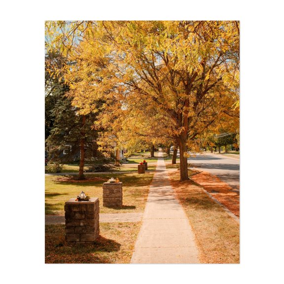 Autumn in Bloomfield 02 - Bloomfield New York Photography Autumn Scenic Landscape Nature Rural Countryside Woodland Unframed Wall Art Print 18 x 24 inches