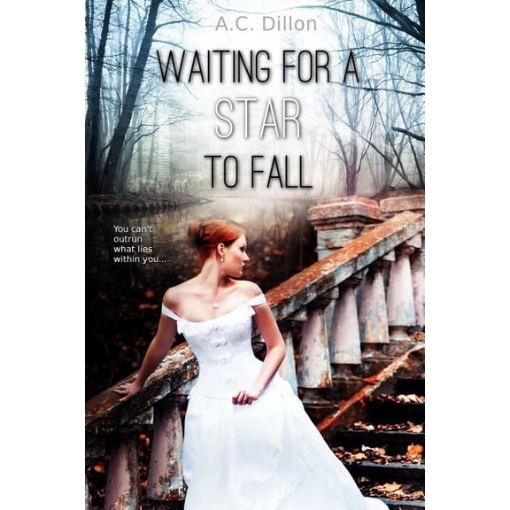 Autumn Brody Waiting For A Star To Fall, Book 2, (Paperback)