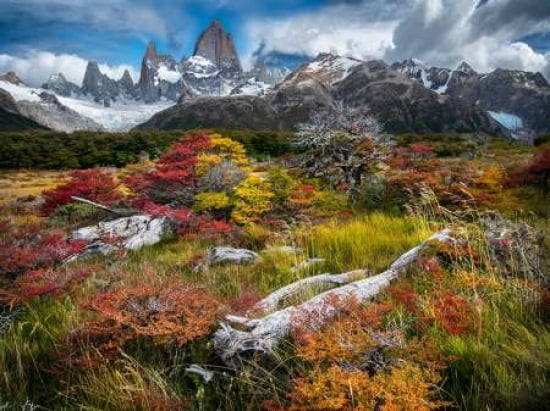 Autumn Canvas Art - Ignacio Palacios (18 x 24)