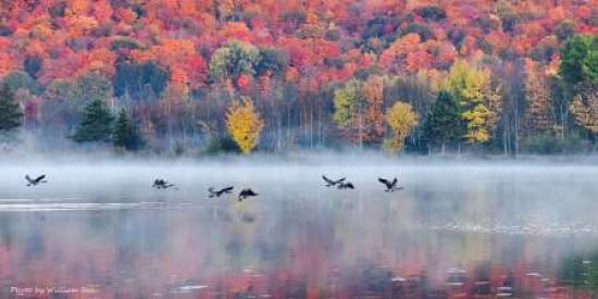 Autumn Canvas Art - Wei Shi (10 x 20)