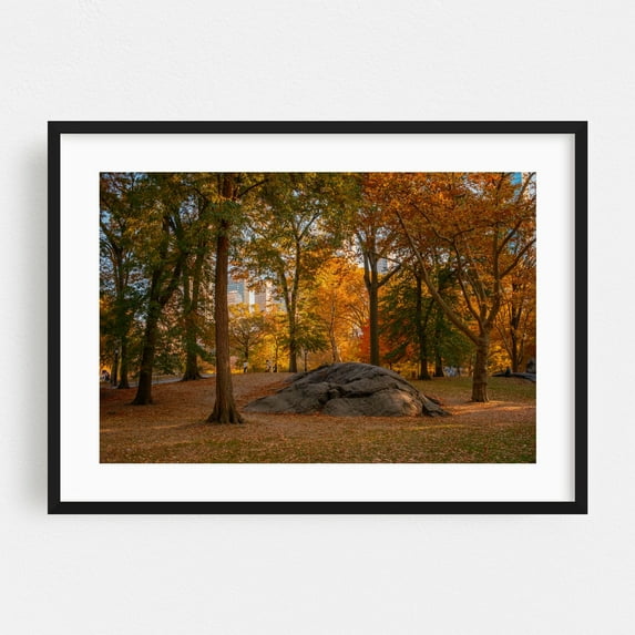 Autumn in Central Park, New York - Manhattan New York Photography Autumn Cityscape Nature Scenic Landscape Woodland Black Framed Wall Art Print 12 x 18 inches