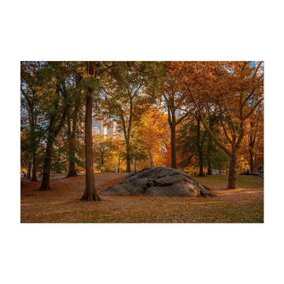 Autumn in Central Park, New York - Manhattan New York Photography Autumn Cityscape Nature Scenic Landscape Woodland Unframed Wall Art Print 20 x 30 inches