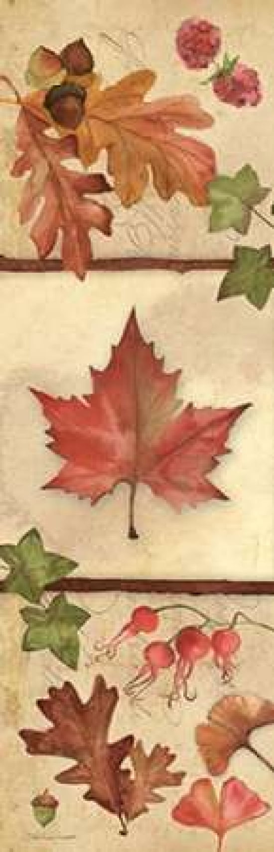 Autumn Collage II Canvas Art - Stephanie Marrott (12 x 36)