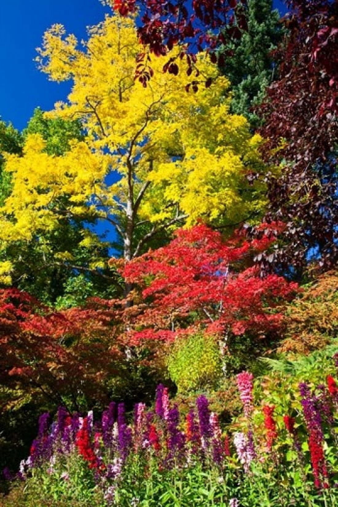 Autumn Color Butchard Gardens Victoria British Columbia Canada Canvas Art - Terry Eggers DanitaDelimont (24 x 36)
