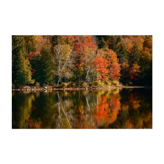 Autumn Color on Tupper Lake 01 - Tupper Lake New York Photography Autumn Nature Forest Landscape Scenic Woodland Unframed Wall Art Print 24 x 36 inches